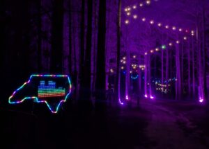 The sign at night
